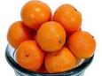 סלט תפוזים